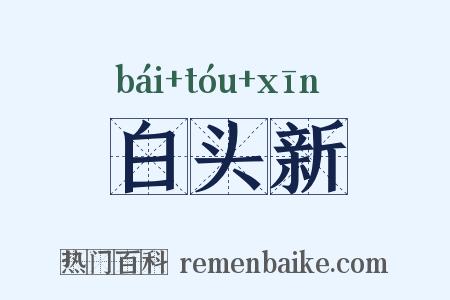 白头新是什么意思的图片